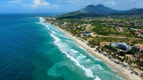 Margarita Dynasty Hotel 